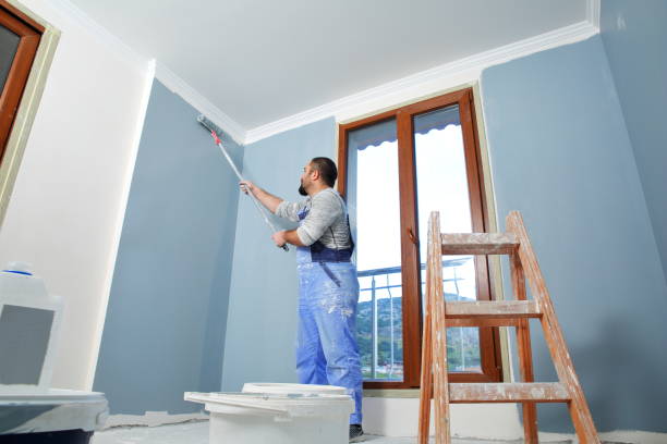 Best Attic Mold Removal  in South Beloit, IL