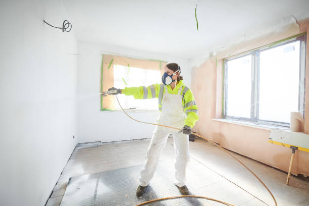 Best Forensic Mold Investigation  in South Beloit, IL