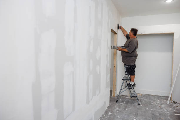 Best Emergency Mold Remediation  in South Beloit, IL