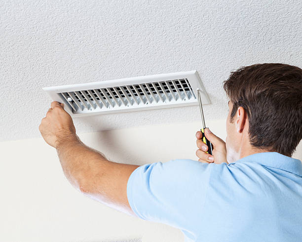 Best Mold Remediation for Healthcare Facilities  in South Beloit, IL