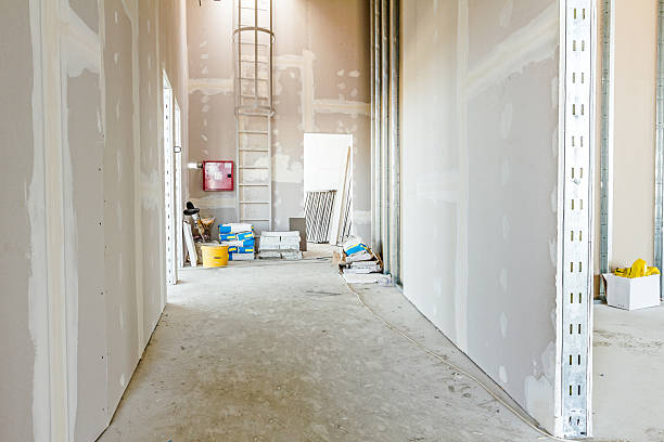 South Beloit, IL Mold Removal Company