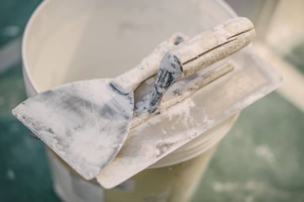 Best Water Damage & Mold Remediation  in South Beloit, IL