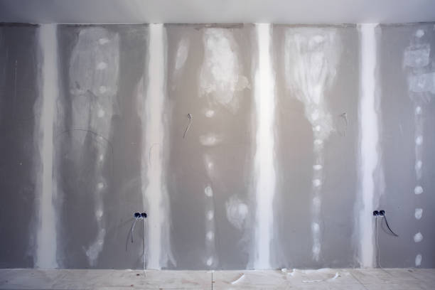 Best Crawl Space Mold Remediation  in South Beloit, IL